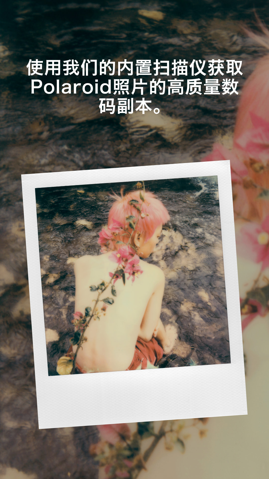 宝丽来游戏截图3