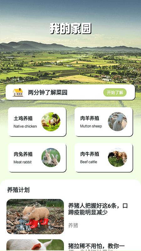 我的家游戏截图1