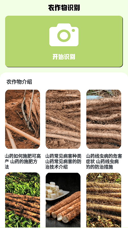 我的家游戏截图3