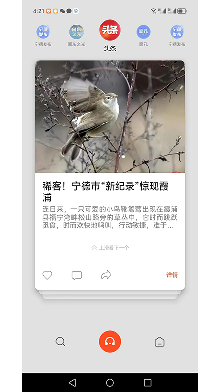 新宁德游戏截图4