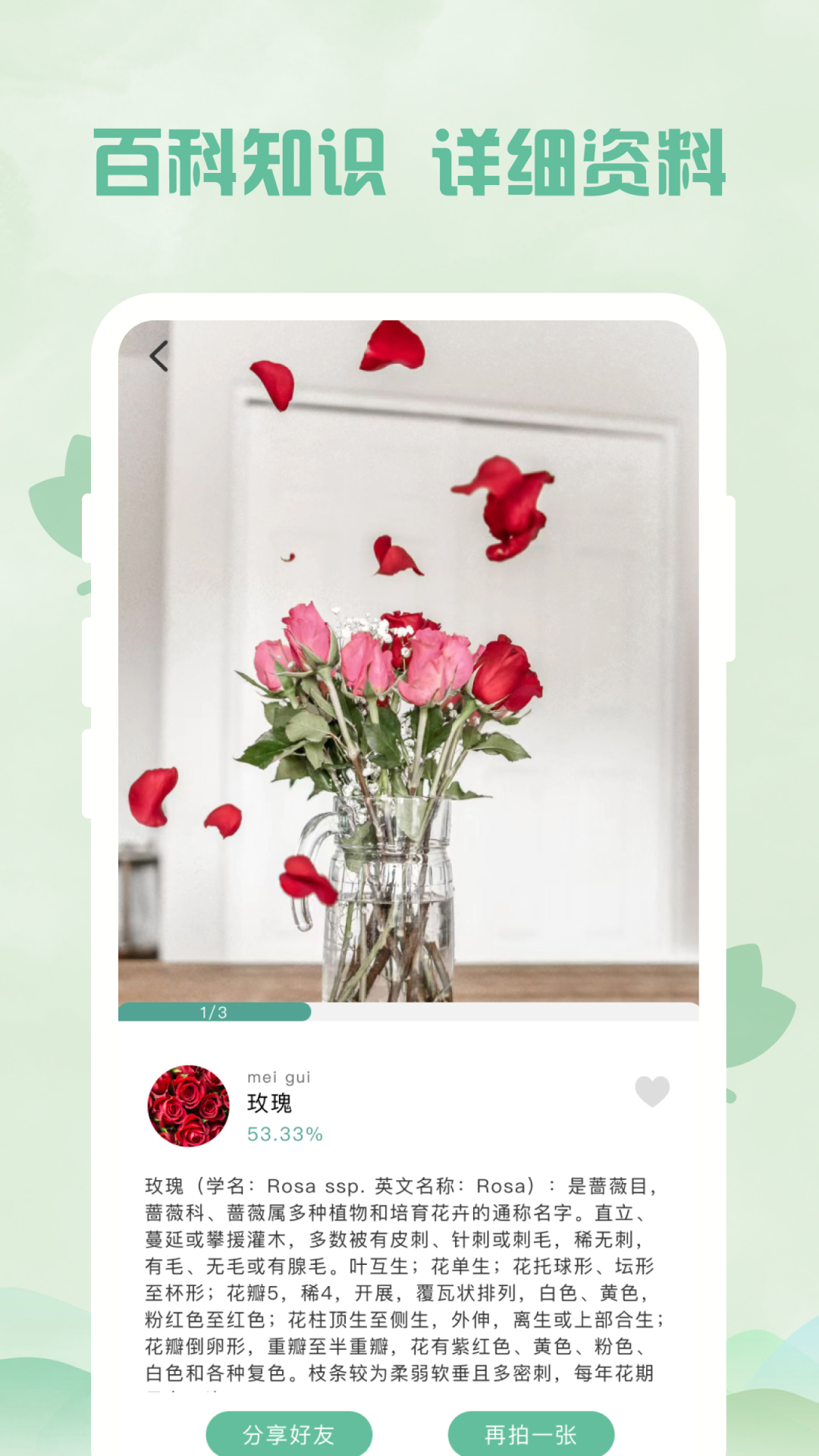 识别全能王游戏截图4