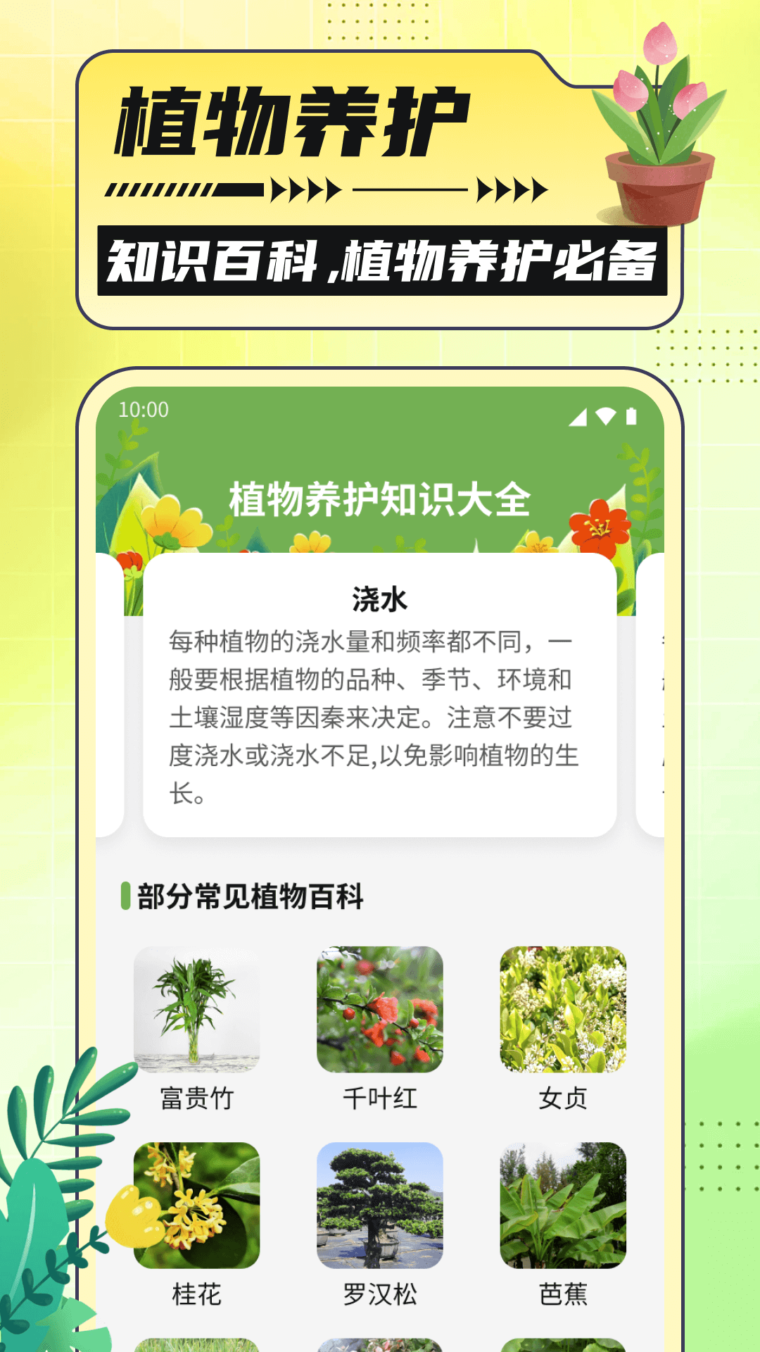 银杏助手大字版游戏截图2