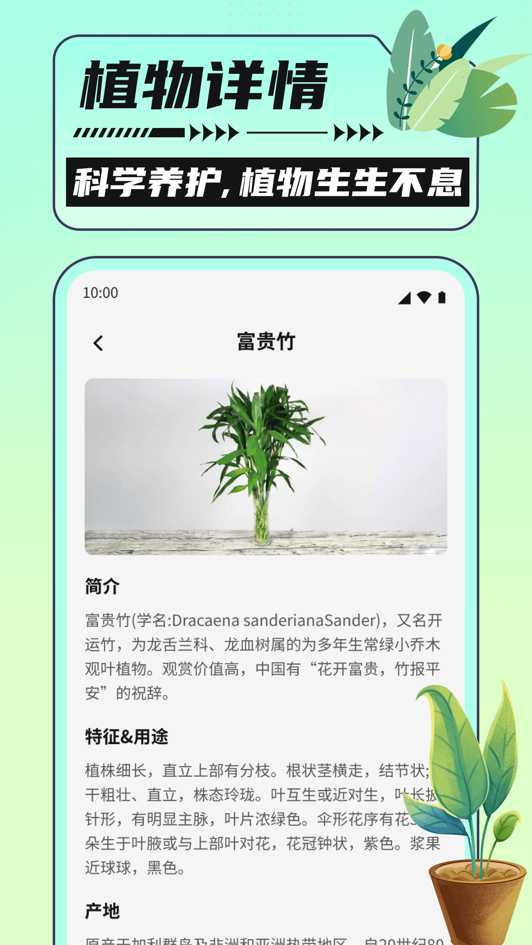 银杏助手大字版游戏截图3