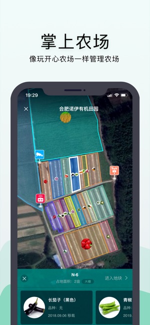 神农口袋游戏截图2
