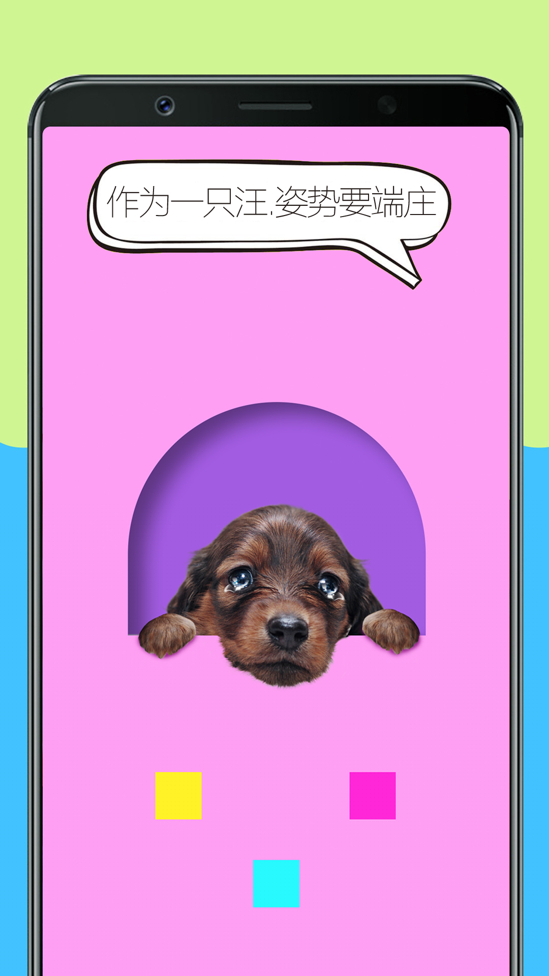 人狗训练翻译器游戏截图4