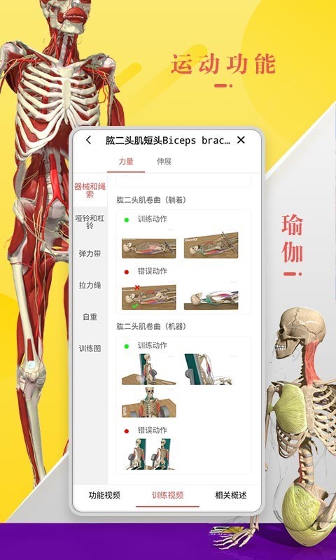 3Dbody解剖学游戏截图3