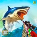 鲨鱼狩猎动物射击手机版下载_鲨鱼狩猎动物射击安卓版下载