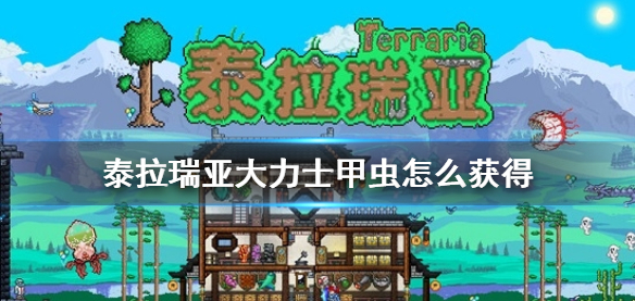 泰拉瑞亚大力士甲虫获得流程详解 泰拉瑞亚大力士甲虫获得流程详解