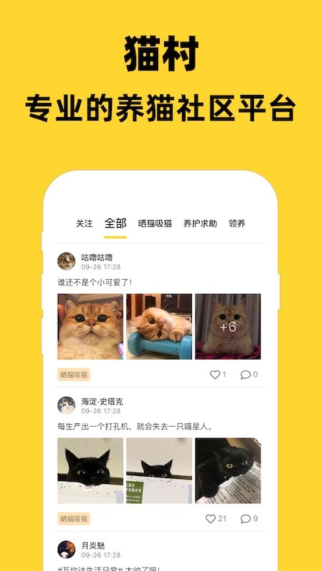 猫村游戏截图3