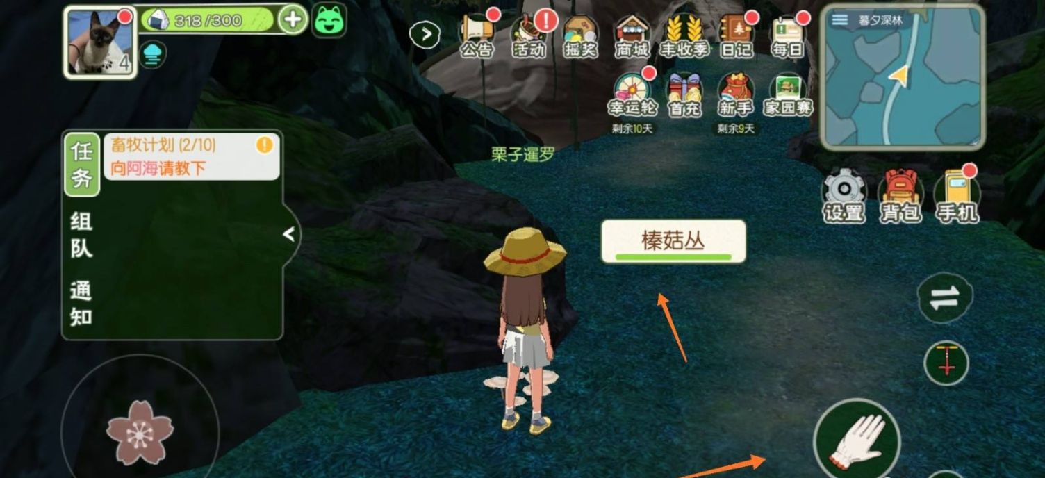 小森生活榛菇获得方法 采集流程详解