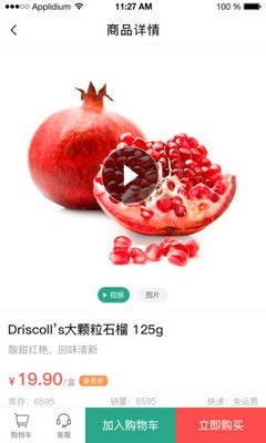 菜小匠游戏截图1