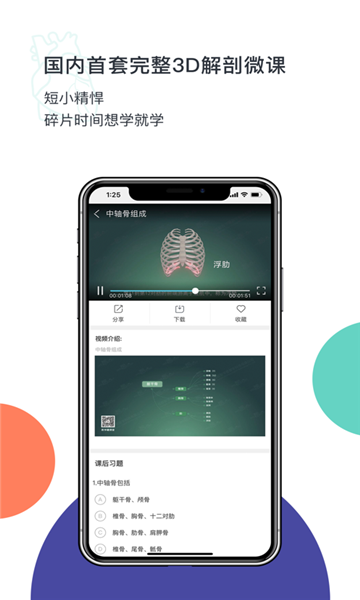 CoolMed游戏截图1