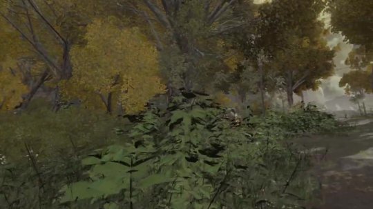 和菈妮说说悄悄话 《艾尔登法环》VRMOD试玩视频放出