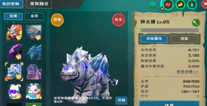 创造与魔法混战服选什么宠物 创造与魔法混战服选什么宠物