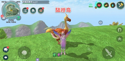 创造与魔法陆行鸟饲料怎么做 创造与魔法陆行鸟饲料怎么做