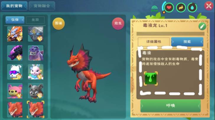 创造与魔法什么宠物好