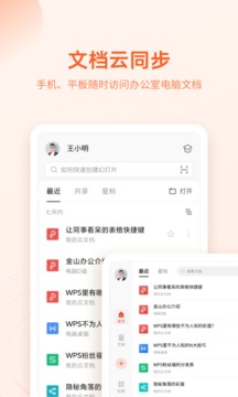 WPSOffice2020游戏截图2