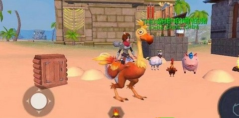 创造与魔法陆地鸟在哪 创造与魔法陆地鸟在哪