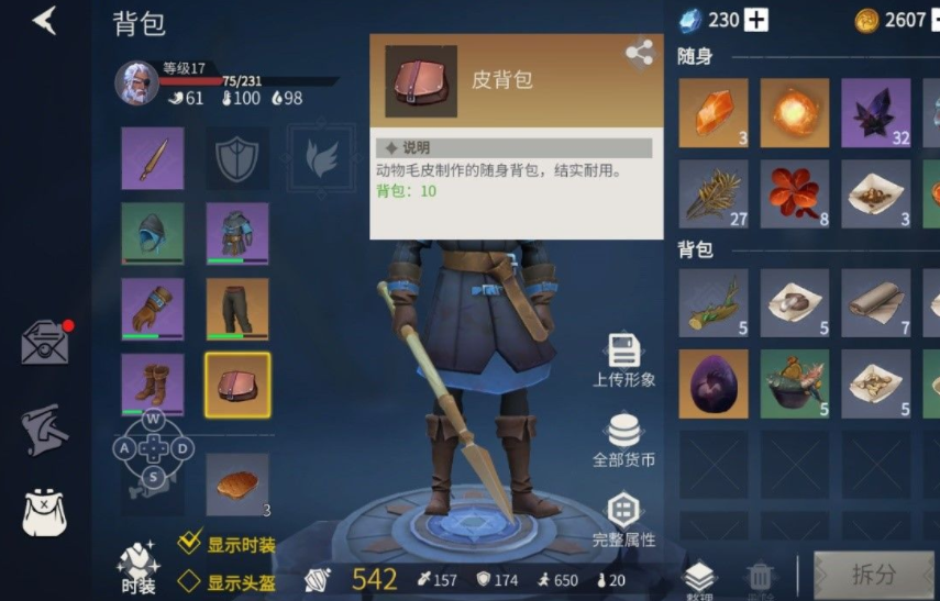 冰原守卫者背包扩展阵图怎么用