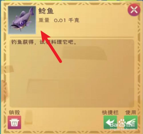 创造与魔法三文鱼和鲶鱼在哪钓