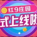 币安网app安卓