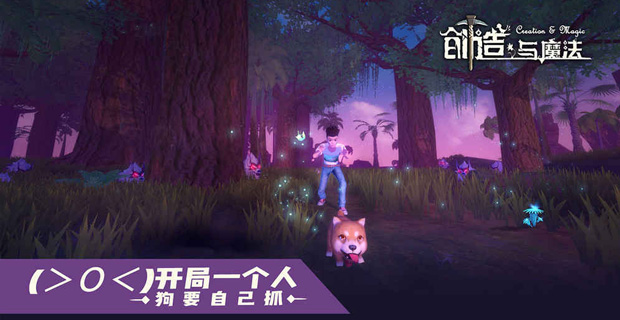 创造与魔法贝壳币有什么用 创造与魔法贝壳币有什么用