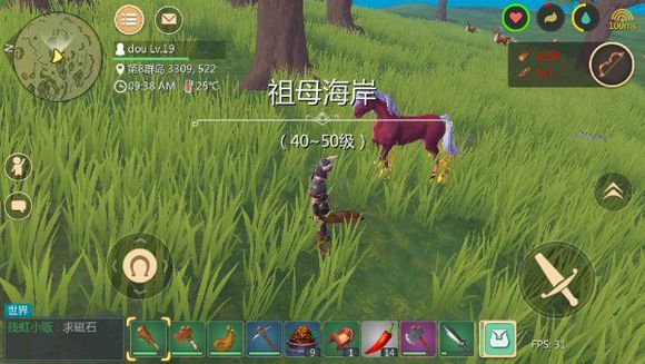 创造与魔法怎么驯服火马