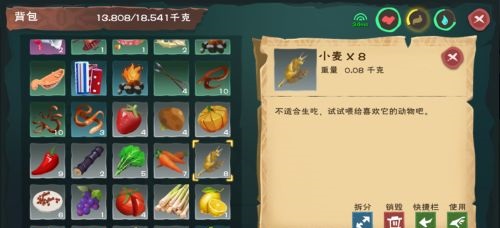 创造与魔法怎么搞家园宠物 创造与魔法怎么搞家园宠物