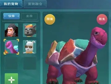 创造与魔法彩壳龟在哪