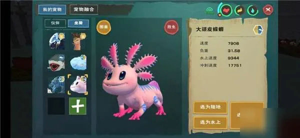 创造与魔法捕捉蝾螈需要什么 创造与魔法捕捉蝾螈需要什么