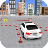 极速模拟停车官方版下载_极速模拟停车安卓版下载