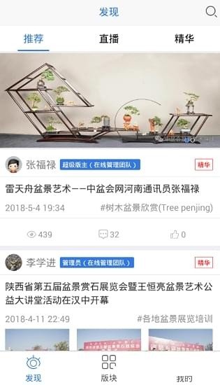 盆景艺术在线游戏截图1