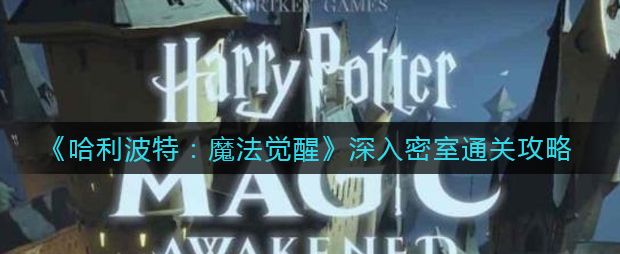 哈利波特魔法觉醒深入密室攻略