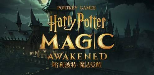 哈利波特魔法觉醒决斗搭配