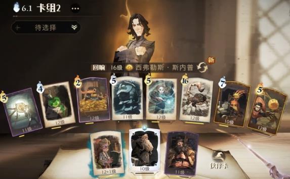 哈利波特魔法觉醒斯内普卡组双排