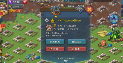 王国纪元收费英雄大全