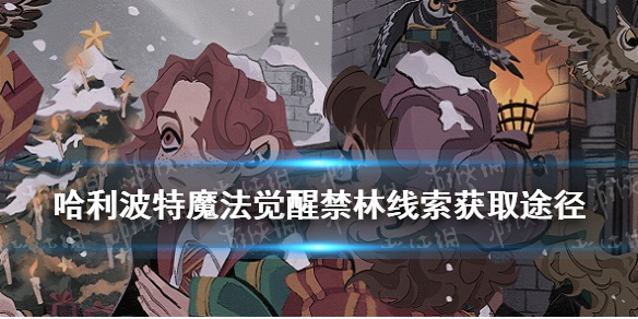 哈利波特怎样获得禁林线索