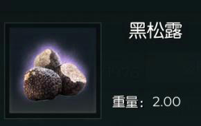 黑暗与光明罕见的蘑菇 黑暗与光明罕见的蘑菇