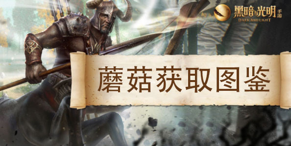 黑暗与光明罕见的蘑菇