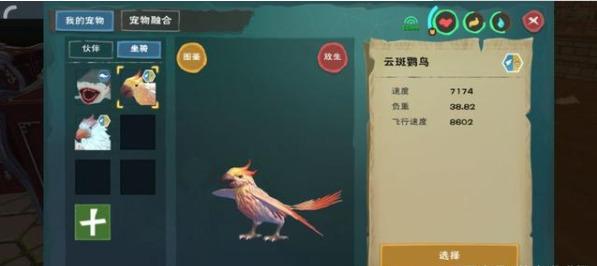 创造与魔法斑斓鹦鹉饲料怎么做