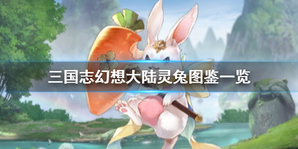 三国志幻想大陆兔子在哪里