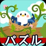 幻影体育app官网 v7.8.94