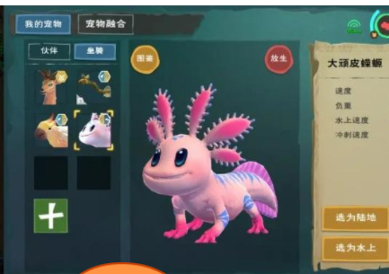 创造与魔法顽皮蝾螈怎么样