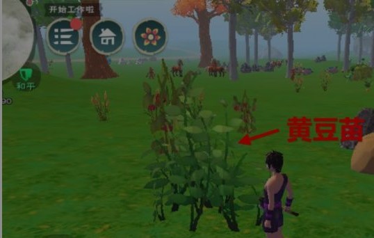 创造与魔法蝾螈饲料几包 创造与魔法蝾螈饲料几包