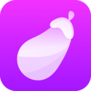 茄子视频app正版最新版