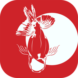 寻鱼直播app平台官方免费