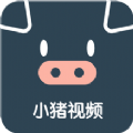 小猪视频2022最新版