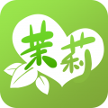 草莓直播最新正版