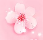 狐狸直播app