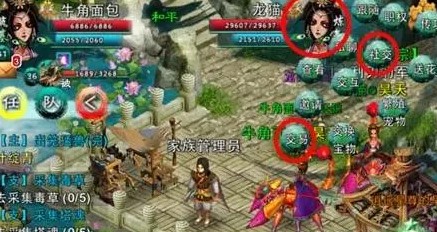 忘仙比武怎样卡别人打不到 忘仙比武怎样卡别人打不到